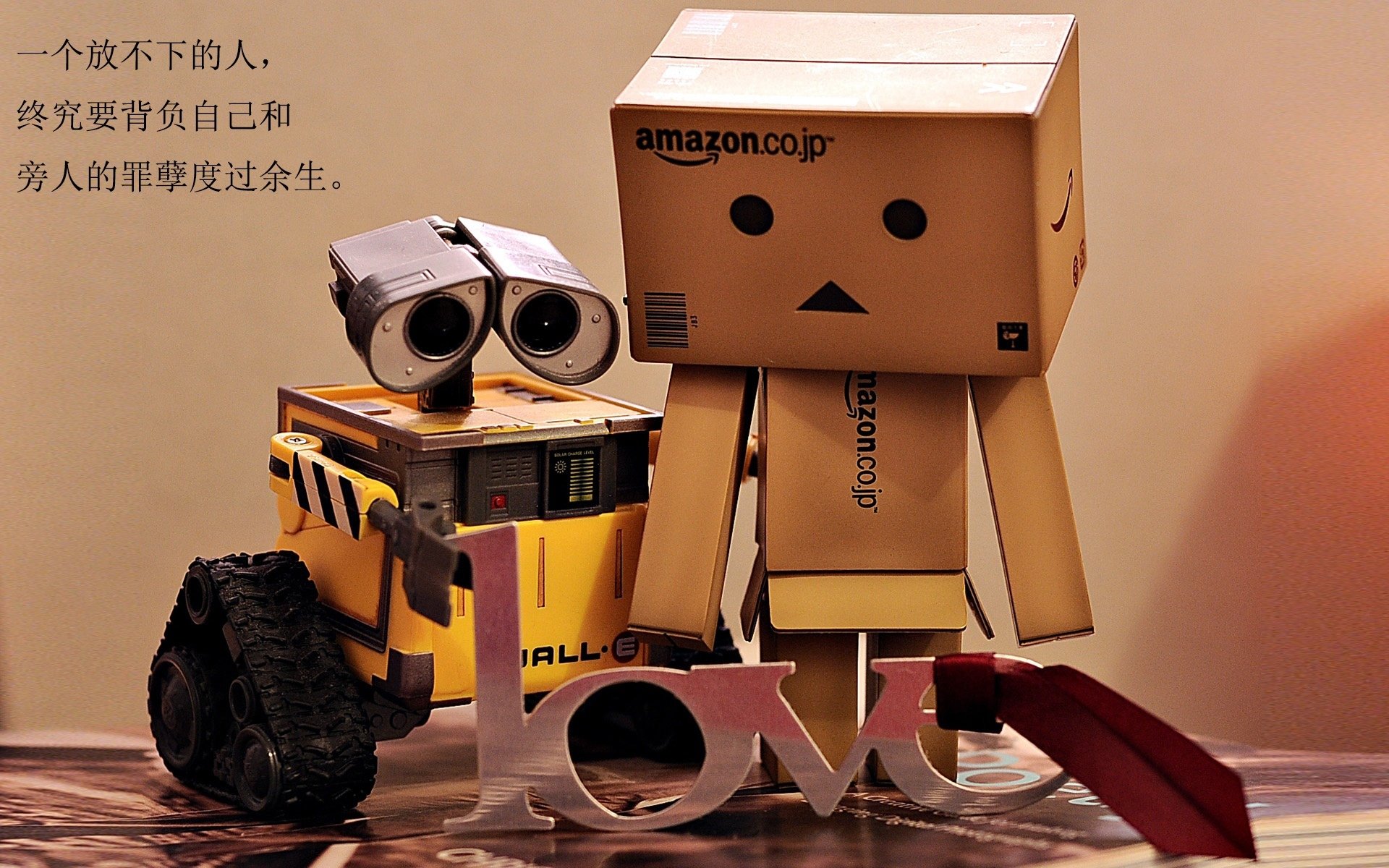 中国足球界引领创新,融合多元文化打造交流平台,中国足球文化与校园足球发展大会