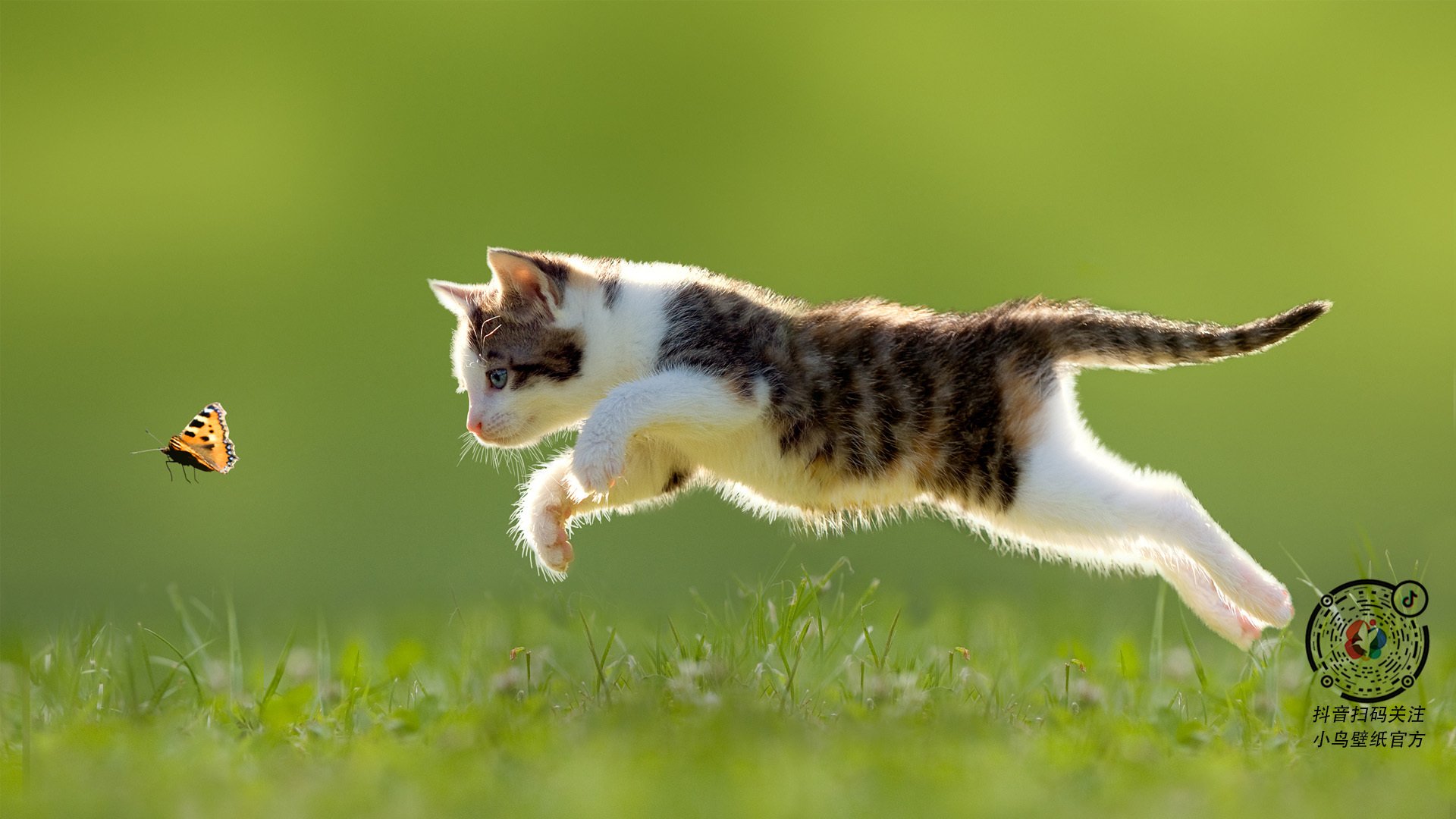 史上最年轻的欧冠“金童”，谁的崛起势不可挡？，最年轻的金球奖得主排名