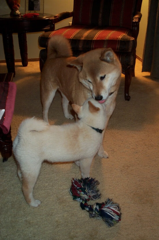 史上最感人励志：球员在低谷如何重新出发？，球星 励志