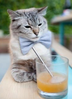 季风体验：在多变风向中考验运动员适应能力